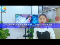 Industry 800*600 Resolution Tft Lcd Display Module with RGB Interface