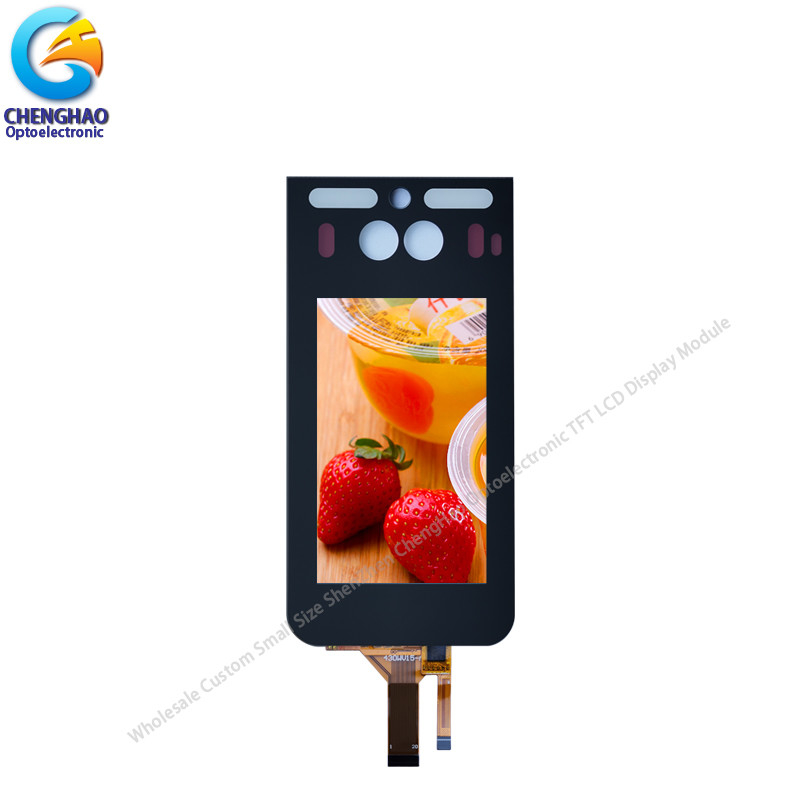 Customized Small Lcd Touch Screen 4.3inch WVGA All Viewing Direction
